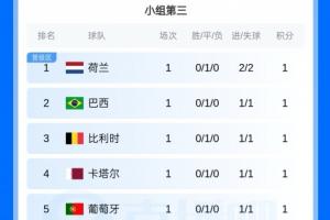 厄瓜多尔vs德国-5-前8出线！小组第三排名：荷兰、巴西、比利时、葡萄牙、西班牙前8