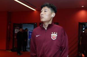 瑞士vs加掌大-8-记者：海港本场足协杯安永佳缺席、武磊受伤；有部分梯队球员补充