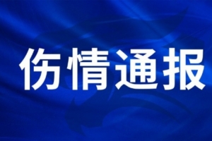 比利时vs埃及-7-王毅右膝外侧副韧带损伤，陈哲超腓骨肌腱、外踝韧带损伤
