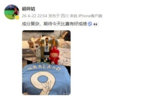 荷兰vs瑞典-10-极速突尼斯对阵日本进球集锦_极速突尼斯对阵日本进球集锦在线观看_免费看直播
