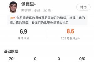 突尼斯vs荷兰-10-热区图集中在对方半场！佩德里全场数据：传球成功率85.3%，6.9分