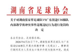 世界杯_挪威vs法国-湖南省足协公布对张家界队处罚：一球员禁赛1年，三球员禁赛半年