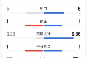 阿根廷vs奥地利-11-2次射正但1红4黄，西班牙1-0乌拉圭全场数据：射门6-5，射正1-1
