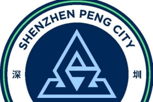 苏格兰vs摩洛哥-5-最新巴西大战世界杯小组赛苏格兰在线观看_最新巴西大战世界杯小组赛苏格兰在线观看在线观看_免费看直播