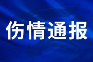 火爆世界杯美国vs澳大利亚全场录像_火爆世界杯美国vs澳大利亚全场录像在线观看_免费看直播