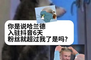免费刚果民主共和国对决葡萄牙比分预测