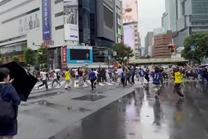 极速瑞典vs荷兰在线观看