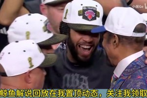 重磅新西兰对比利时直播入口
