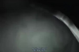 火爆佛得角对阵乌拉圭直播