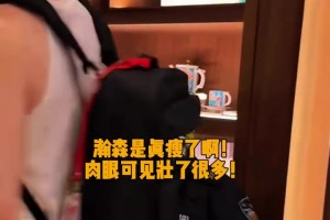 实时瑞典对荷兰全场录像