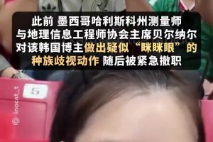 极速墨西哥vs韩国进球集锦
