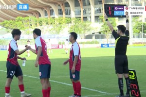 今日瑞典对决突尼斯进球集锦