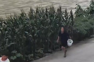 最新巴掌马对加纳低调看直播
