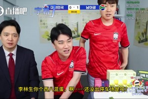 英格兰大战巴掌马在线观看