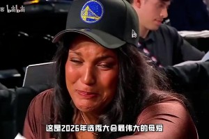 瑞典对阵荷兰进球集锦
