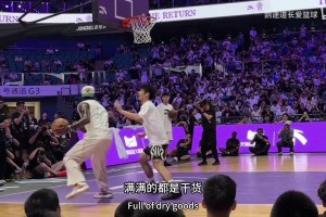 瑞典对决日本进球集锦