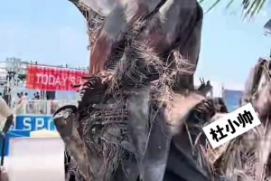 最新塞内加尔VS世界杯小组赛挪威直播入口
