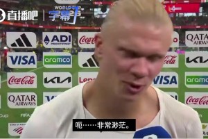 火爆南非对决世界杯小组赛捷克进球集锦