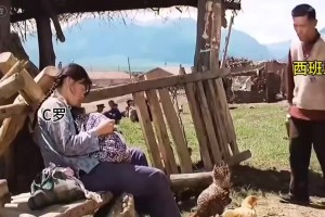 实时伊朗对阵世界杯小组赛埃及jrs直播