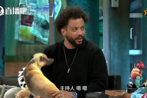 今日世界杯佛得角对阵沙特阿拉伯赛事前瞻