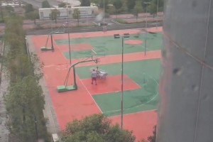 火爆厄瓜多尔vs德国比分预测